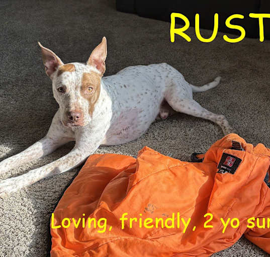 Photo of RUSTY