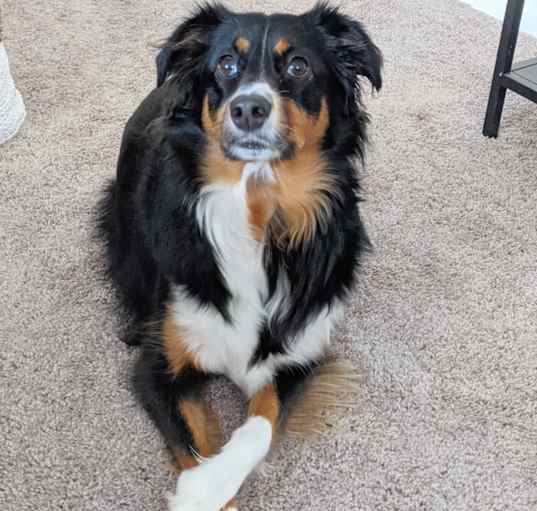 Photo of Cali