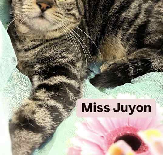 Photo of Miss Juyon at Martinez Pet Food Express  April 26