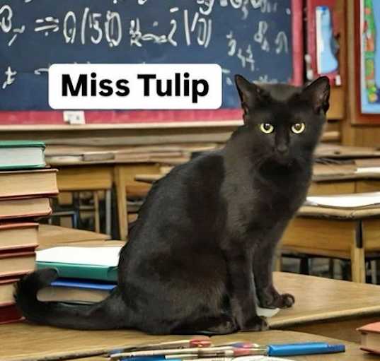 Photo of Miss Tulip at Martinez Pet Food Express  Sept 14th