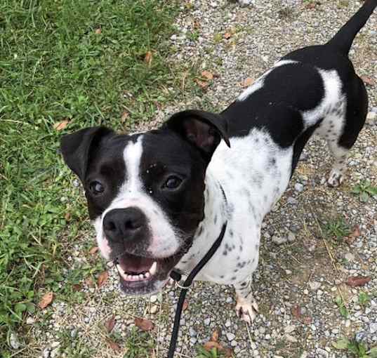 Photo of Rocko