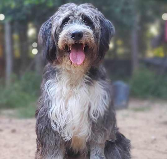 Photo of Sally