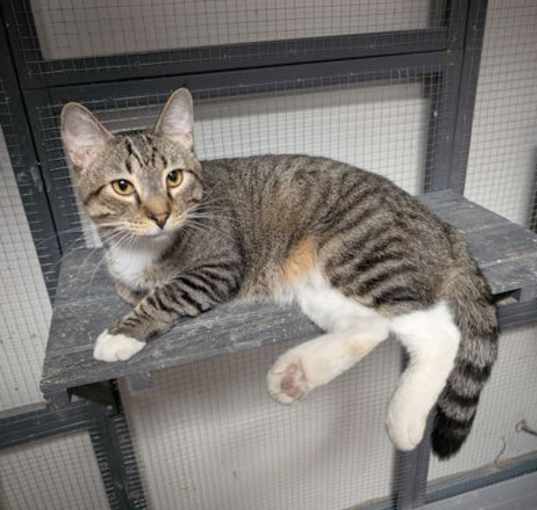 Photo of Marlin