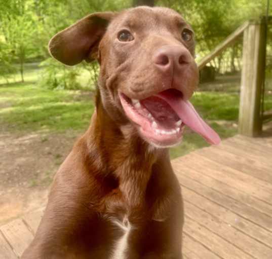 Photo of Sissy