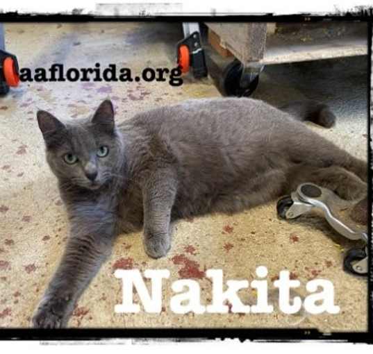 Photo of Nakita