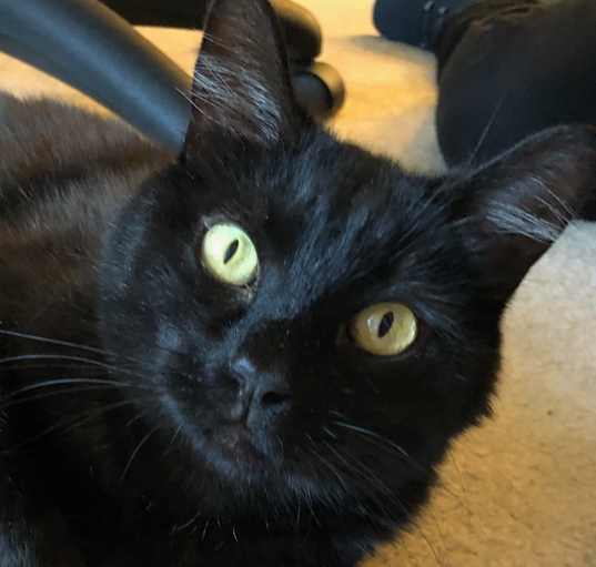 Photo of Maya