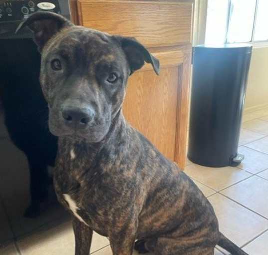 Photo of SAMPSON