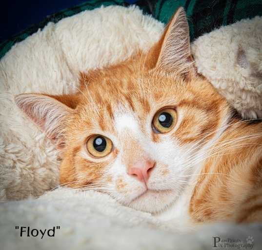 Photo of Floyd