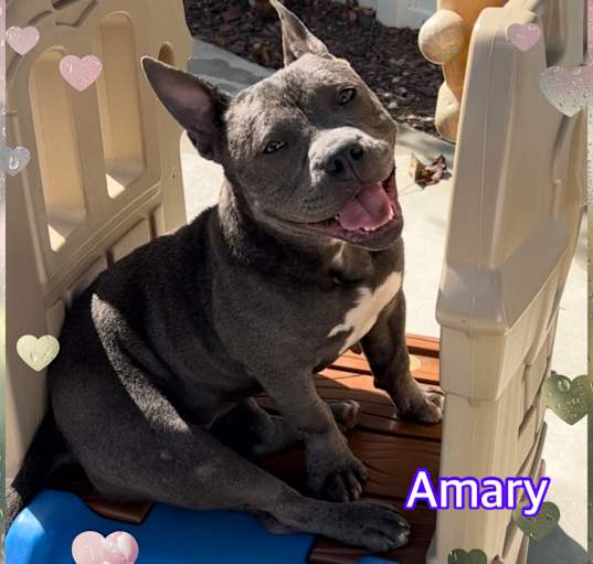 Photo of Amary