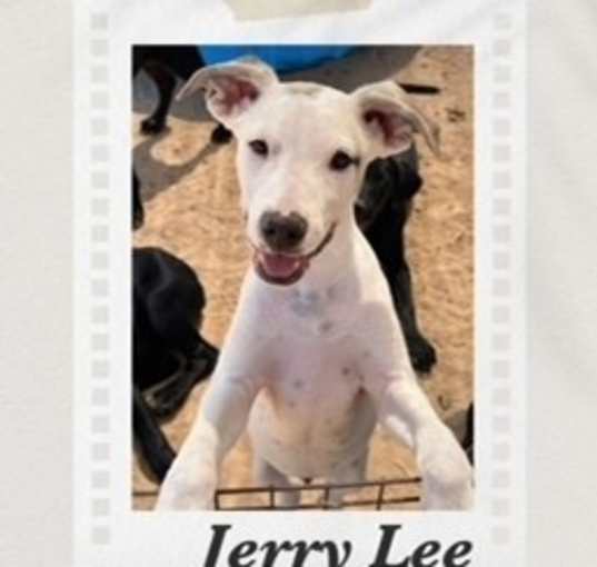 Photo of Jerry Lee