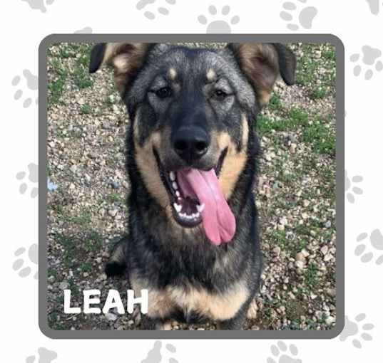 Photo of Leah