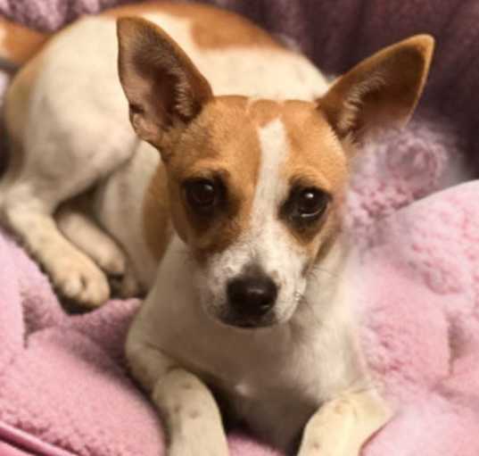 Photo of Sally
