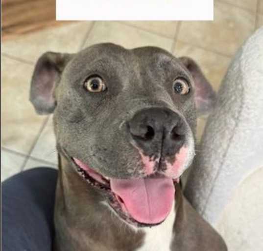 Photo of Mama
