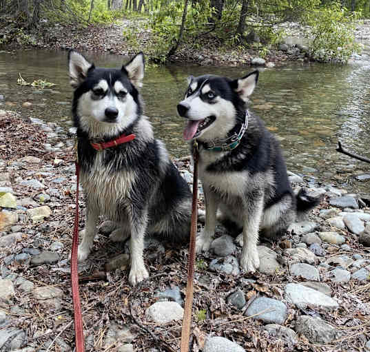 Photo of Clover & Rainier