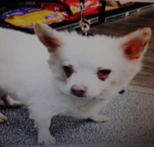 Photo of Baby