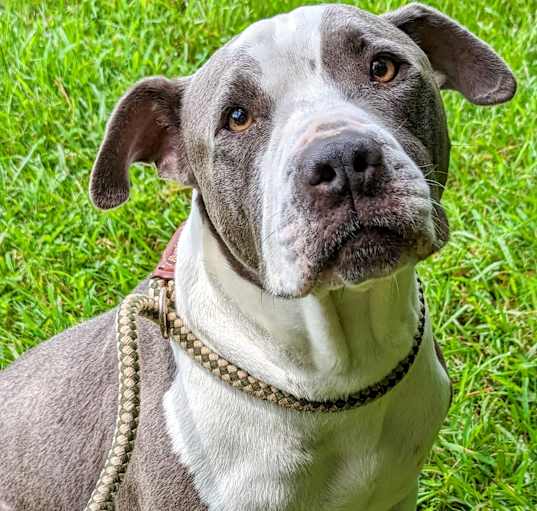 Photo of Woodrow