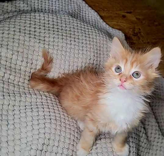 Photo of Jack