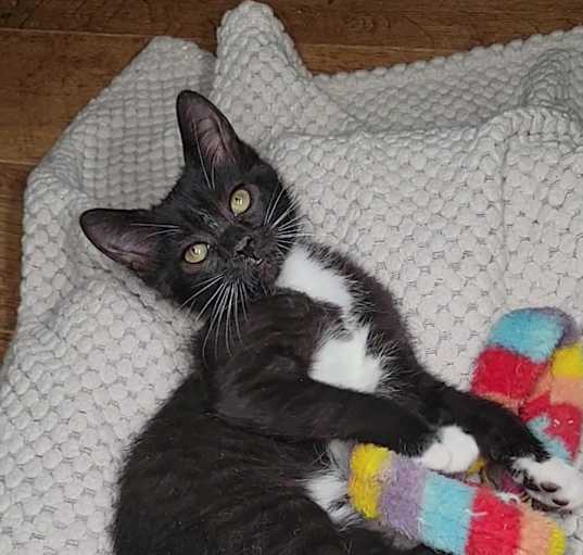 Photo of Jilly