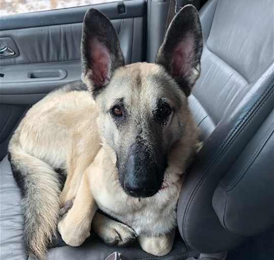 Photo of Roxy