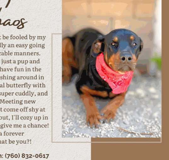 Photo of Chaos