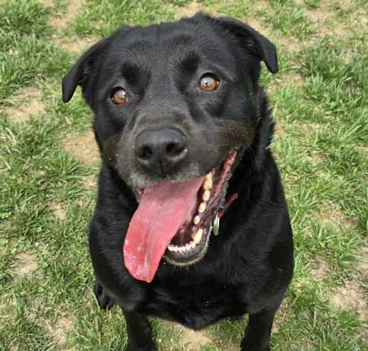 Photo of Maybelle(AKA Maggie)