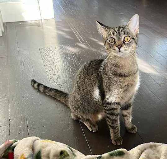 Photo of Bingo