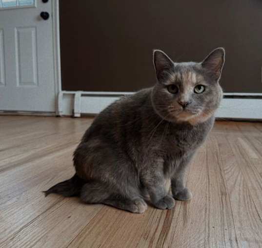 Photo of Phoebe Buffay