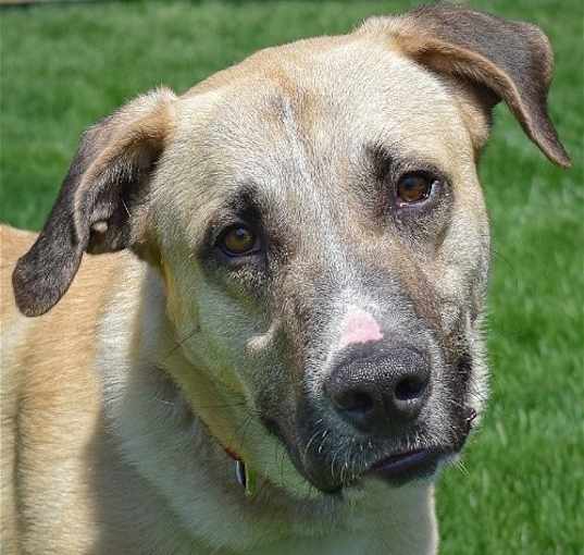 Photo of Wyatt