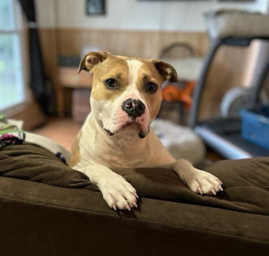 Photo of HONEY
