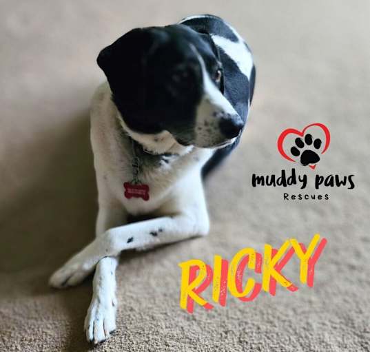 Photo of Ricky