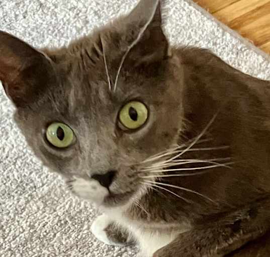 Photo of Alicia