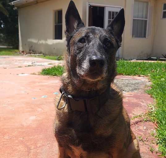 Photo of Kiara