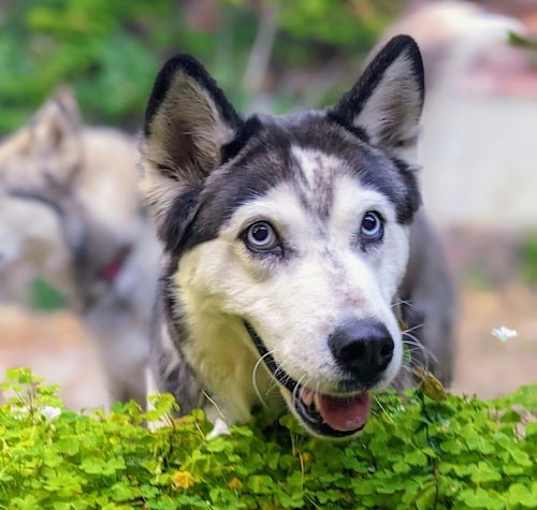 Photo of Juneau