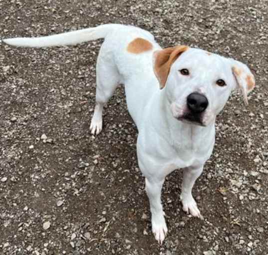 Photo of Clarabelle