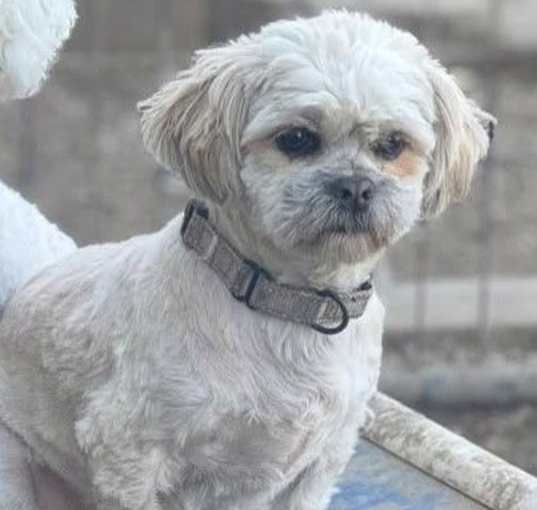 Photo of Rexie
