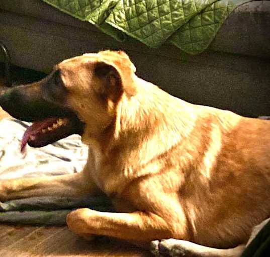 Photo of zephyr