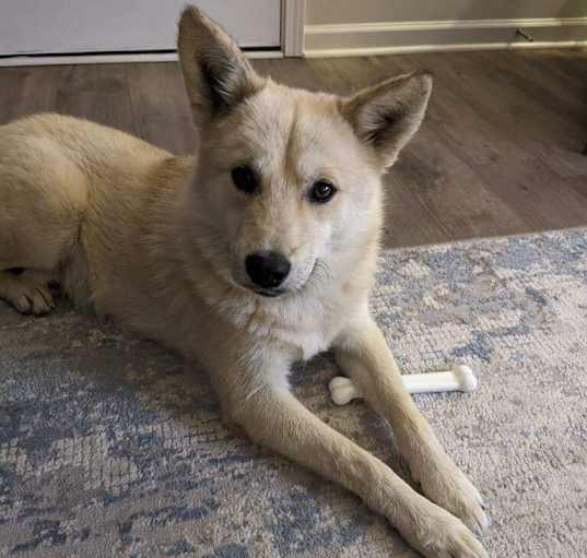 Photo of Smokey