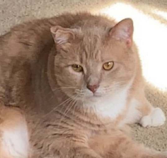 Photo of Sebastian