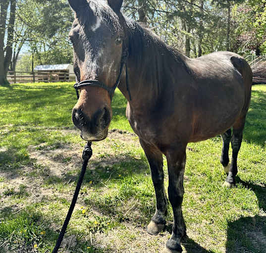 Photo of Candy