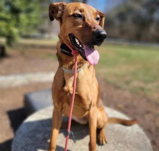 Photo of Fawn G