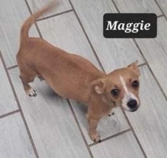 Photo of Maggie