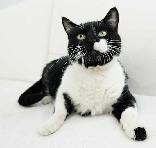 Photo of Tookins