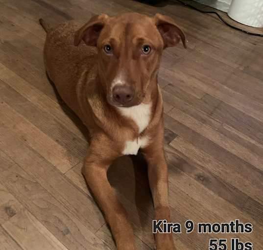 Photo of Kira
