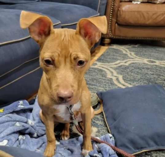 Photo of CHETTI (COURTESY POST)