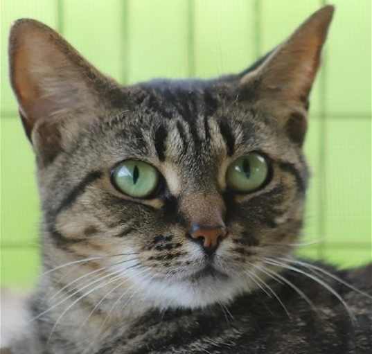 Photo of Luna
