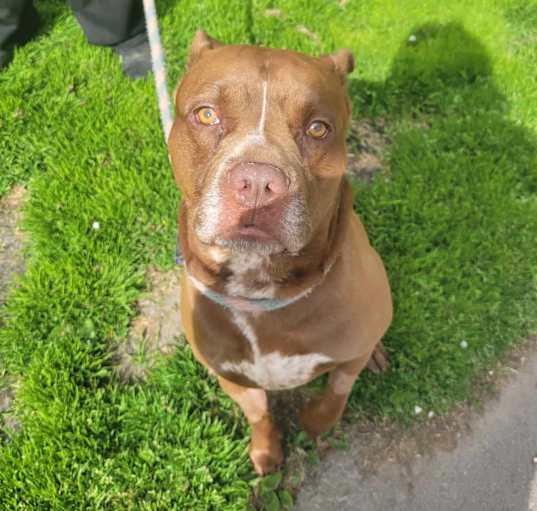 Photo of Chance