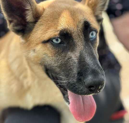 Photo of Waylon