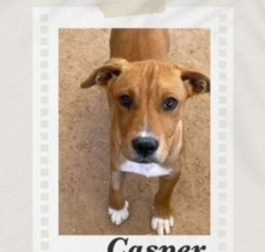 Photo of Casper