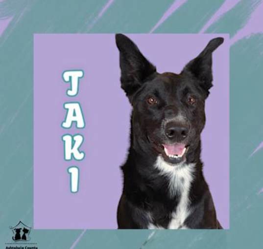 Photo of Taki