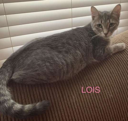 Photo of Lois